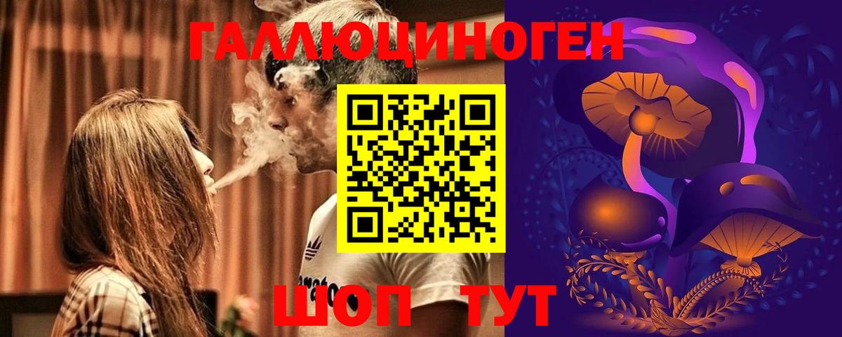 купить   Вход с VPN  Печора  Псилоцибиновые грибы Cubensis 